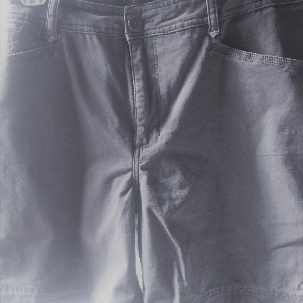 Lee Platinum Label Gray Shorts Size 16 Cotton/Spandex